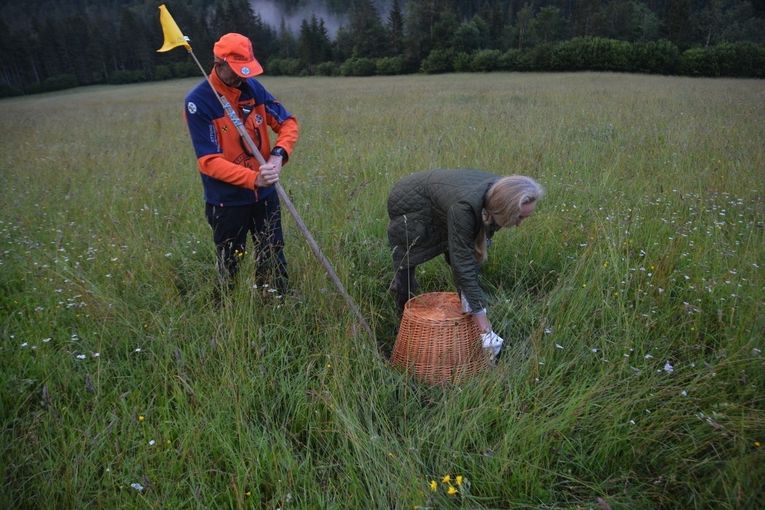 Rehkitzrettung.jpg © Kirfel