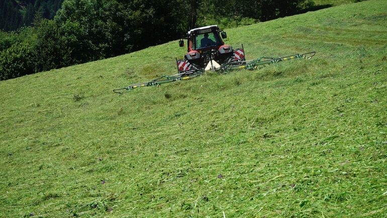 Krone.jpg Krone.jpg