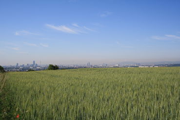 Grünräume Wien.jpg © LK Wien