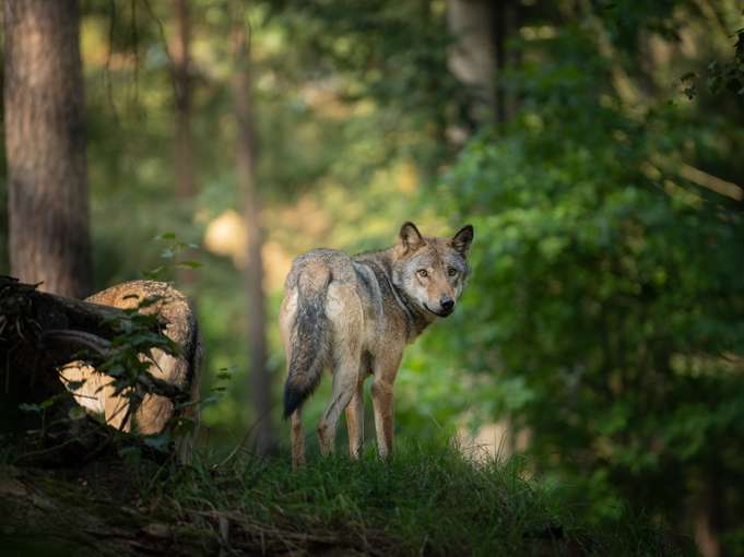 AdobeStock_292019122.jpg © Adobe Stock