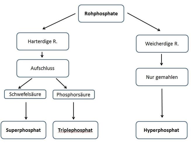 Rohphosphate.jpg