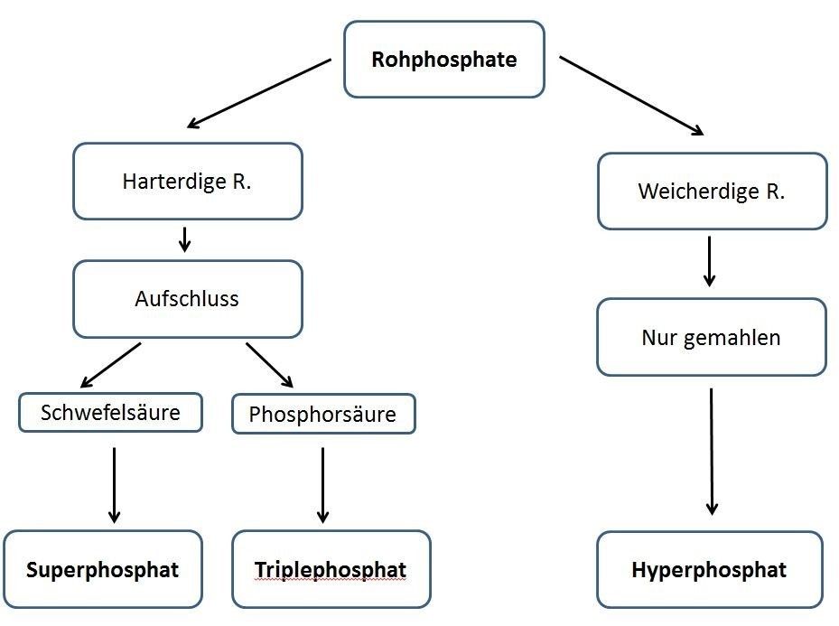 Rohphosphate.jpg