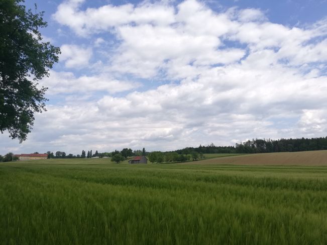 Steuerliches Entlastungs- und Investitionspaket für LuF Sieglinde Jell-Anreiter.jpg Steuerliches Entlastungs- und Investitionspaket für LuF Sieglinde Jell-Anreiter.jpg