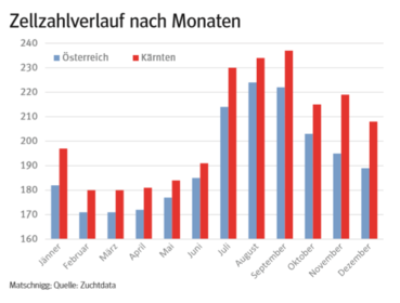 Zellzahlen3.png