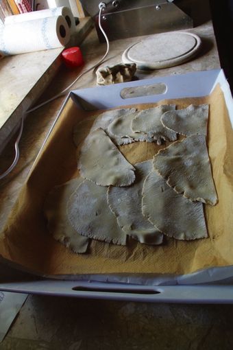 S 36, Bladl3.jpg © Gudrun Dürnberger