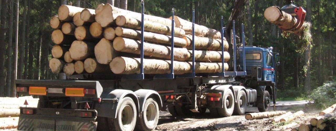 Holzverkauf © Harald Hebenstreit/LK Niederösterreich