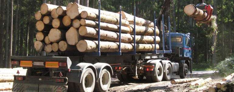 Holzverkauf © Harald Hebenstreit/LK Niederösterreich