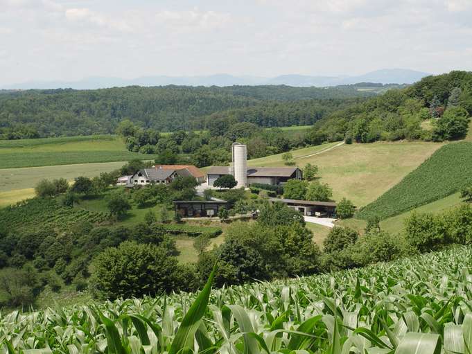 Landschaft ©Franz Kern-LK Stmk.jpg © Franz Kern/LK-Stmk