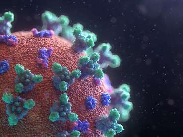 Corona-Virus.jpg © Fusion Medical Animation on Unsplash