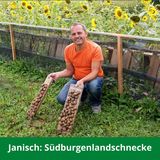 janisch-suedburgenlandschnecke-lk burgenland-innovationspreis burgenland isst innovativ.jpg