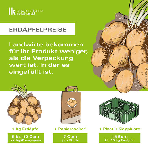 Infografik_Wert_von_Erdaepfeln_Erzeugerpreis.jpg © LK NÖ