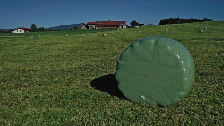 Silage.jpg © dür Silage.jpg © dür