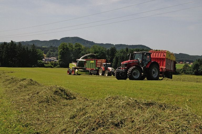 Silage.jpg © dür Silage.jpg © dür