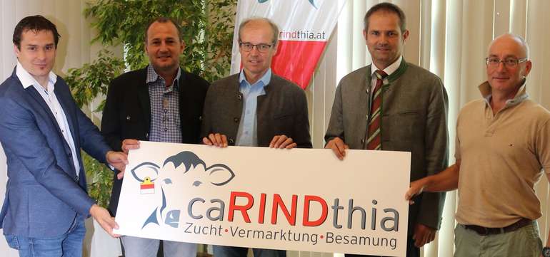 Aufsichtsrat 1.jpg © CaRINDthia Aufsichtsrat 1.jpg © CaRINDthia