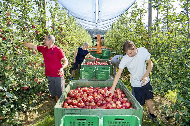 Bild 3©LK-Fischer.jpg © LK-Fischer