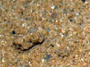 Sandboden.jpg