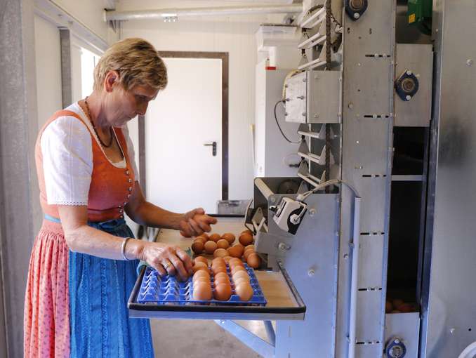Putzgrub in Abtenau: Einfach eine runde Sache.jpg © Kronreif Putzgrub in Abtenau: Einfach eine runde Sache.jpg © Kronreif