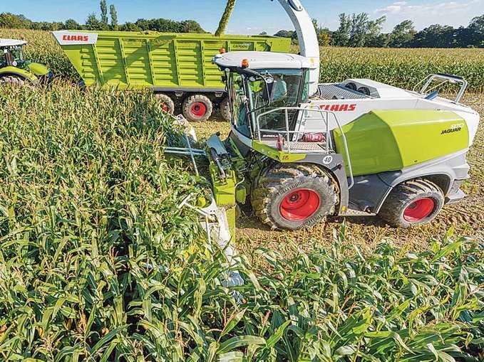 Claas jaguar.jpg © Claas