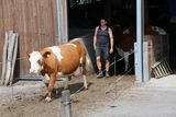 Reportage Familie Koppensteiner © Paula Pöchlauer-Kozel/LK Niederösterreich