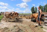 Reportage Familie Koppensteiner © Paula Pöchlauer-Kozel/LK Niederösterreich