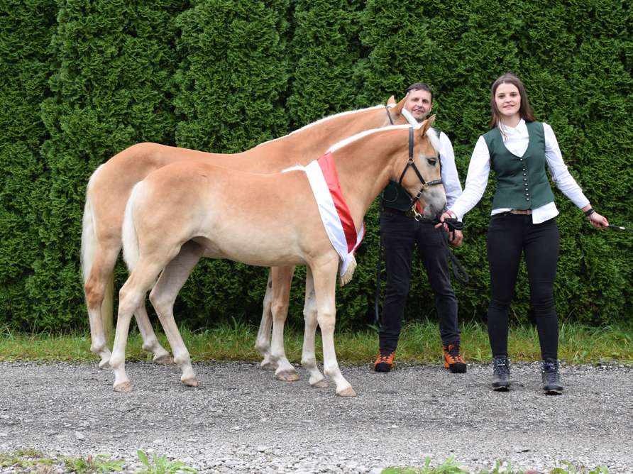 Nachwuchs-Talente Kuchl bei der Landesfohlenschau und Reitpferdeprüfung.jpg © Fleiß Nachwuchs-Talente Kuchl bei der Landesfohlenschau und Reitpferdeprüfung.jpg © Fleiß