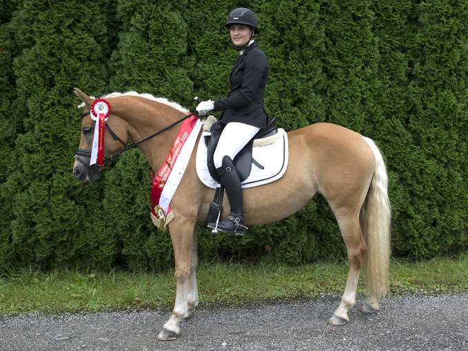 Nachwuchs-Talente Kuchl bei der Landesfohlenschau und Reitpferdeprüfung.jpg © LPZV Salzburg Nachwuchs-Talente Kuchl bei der Landesfohlenschau und Reitpferdeprüfung.jpg © LPZV Salzburg