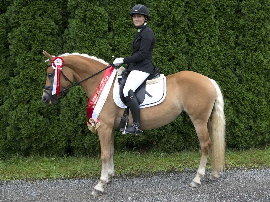 Nachwuchs-Talente Kuchl bei der Landesfohlenschau und Reitpferdeprüfung.jpg © LPZV Salzburg Nachwuchs-Talente Kuchl bei der Landesfohlenschau und Reitpferdeprüfung.jpg © LPZV Salzburg