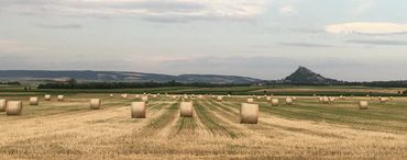 Landschaft © Andrea Uhl/BBK Mistelbach