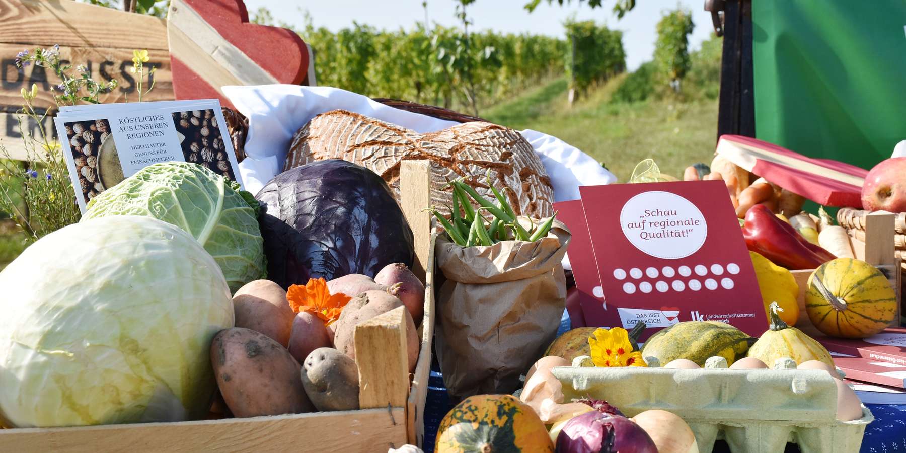 Regionale Lebensmittel, Kampagne "Das isst Österreich"
