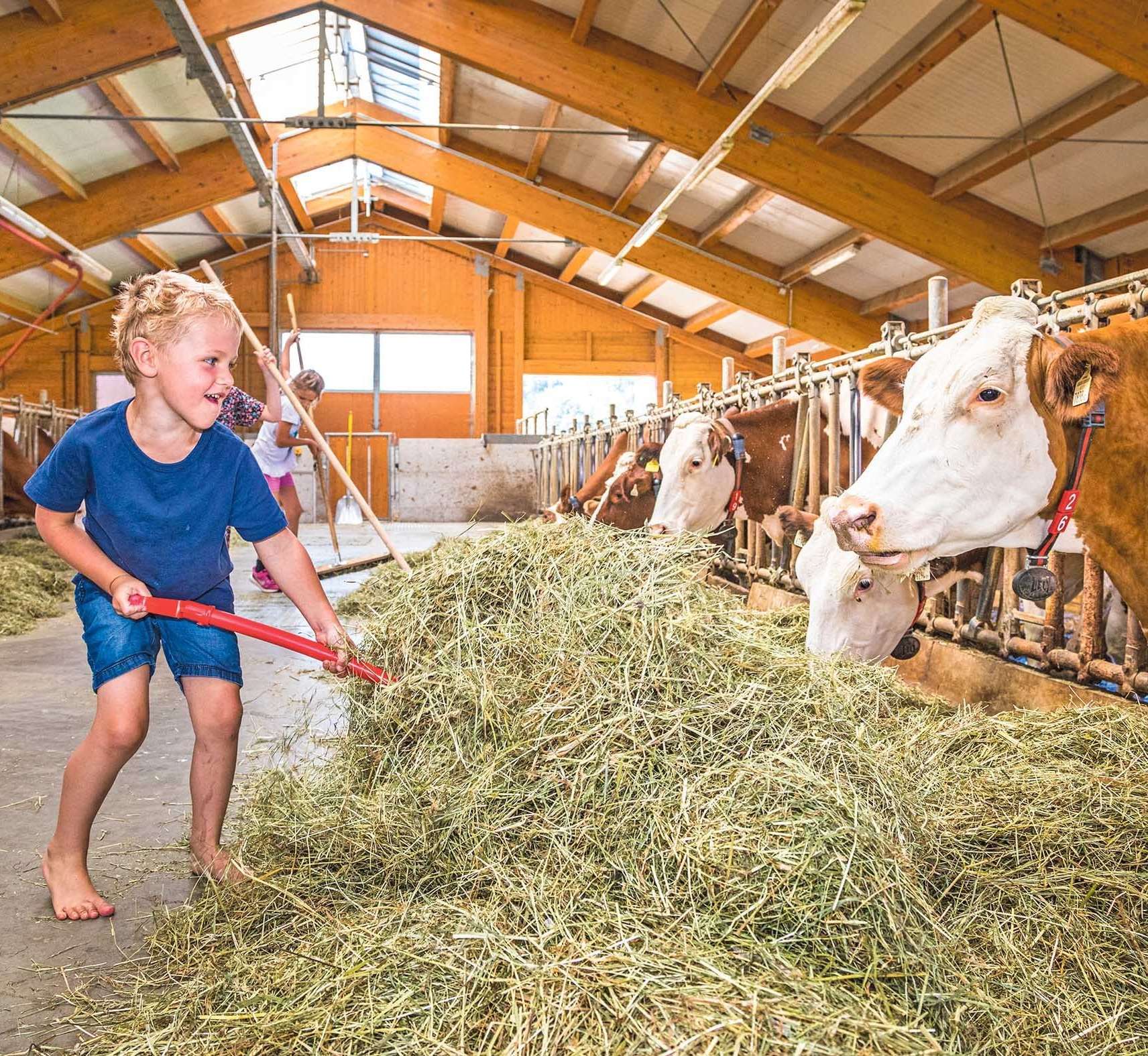 UaB-Beratung  direkt vor Ort  am eigenen Hof.jpg © Urlaub am Bauernhof UaB-Beratung  direkt vor Ort  am eigenen Hof.jpg © Urlaub am Bauernhof