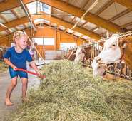 UaB-Beratung  direkt vor Ort  am eigenen Hof.jpg © Urlaub am Bauernhof