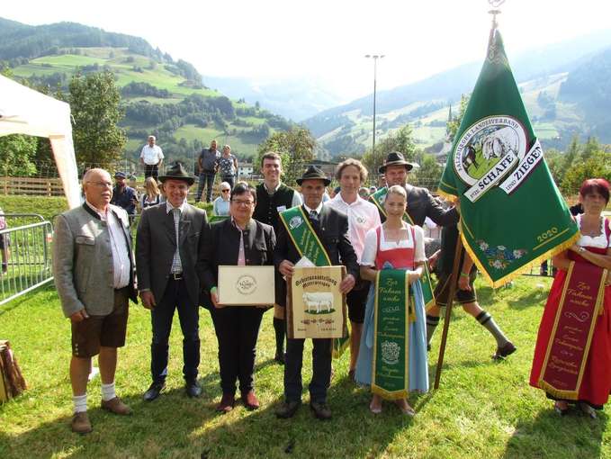 Wollige Genossen im Rampenlicht.jpg © Salzburger Landesverband für Schafe und Ziegen