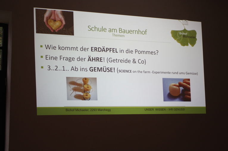 © Hauer-Bindreiter Birgit NÖ LK