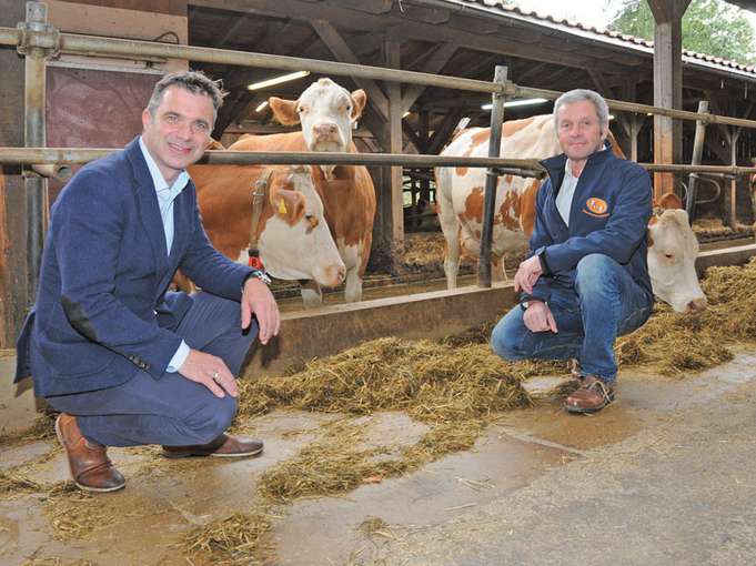 Salzburger Top-Genetik für Europa – Mettmach-Sohn.jpg © Dürnberger Salzburger Top-Genetik für Europa – Mettmach-Sohn.jpg © Dürnberger