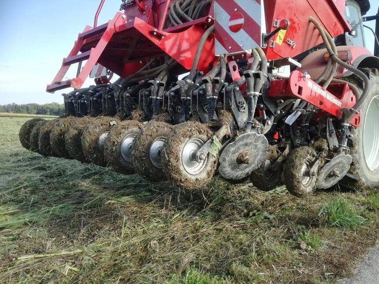 Praxisversuch zum Weizenanbau in Rohr im Kremstal##+##10. Oktober 2020