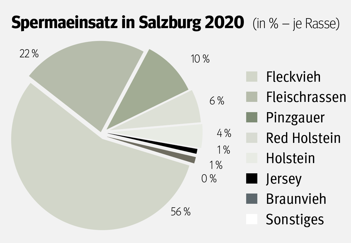 Besamungsjahr 2019/20.png © Salzburger Bauer Besamungsjahr 2019/20.png © Salzburger Bauer