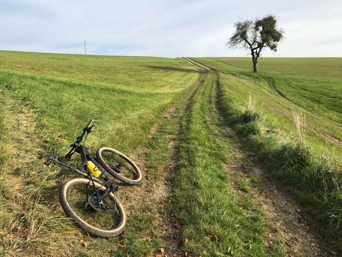 Bike in Wiese.jpg © Martha Gruber / Landwirtschaftskammer OÖ