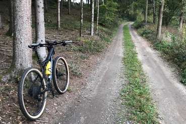 Bike Forststraße hoch.jpg