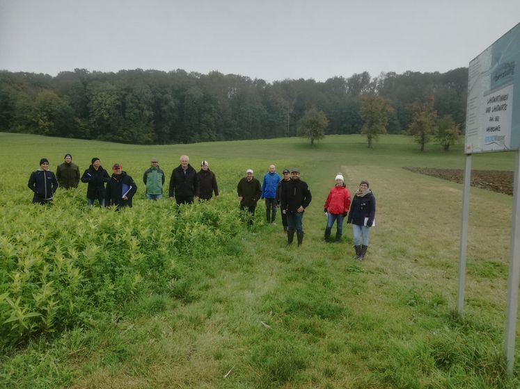 Feldbegehung mit Norbert Ecker in Ansfelden am 22. Oktober 2020