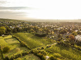 wien-grinzing-glocken-a-herbst-0097.jpg © RWK Wien / www.pov.at