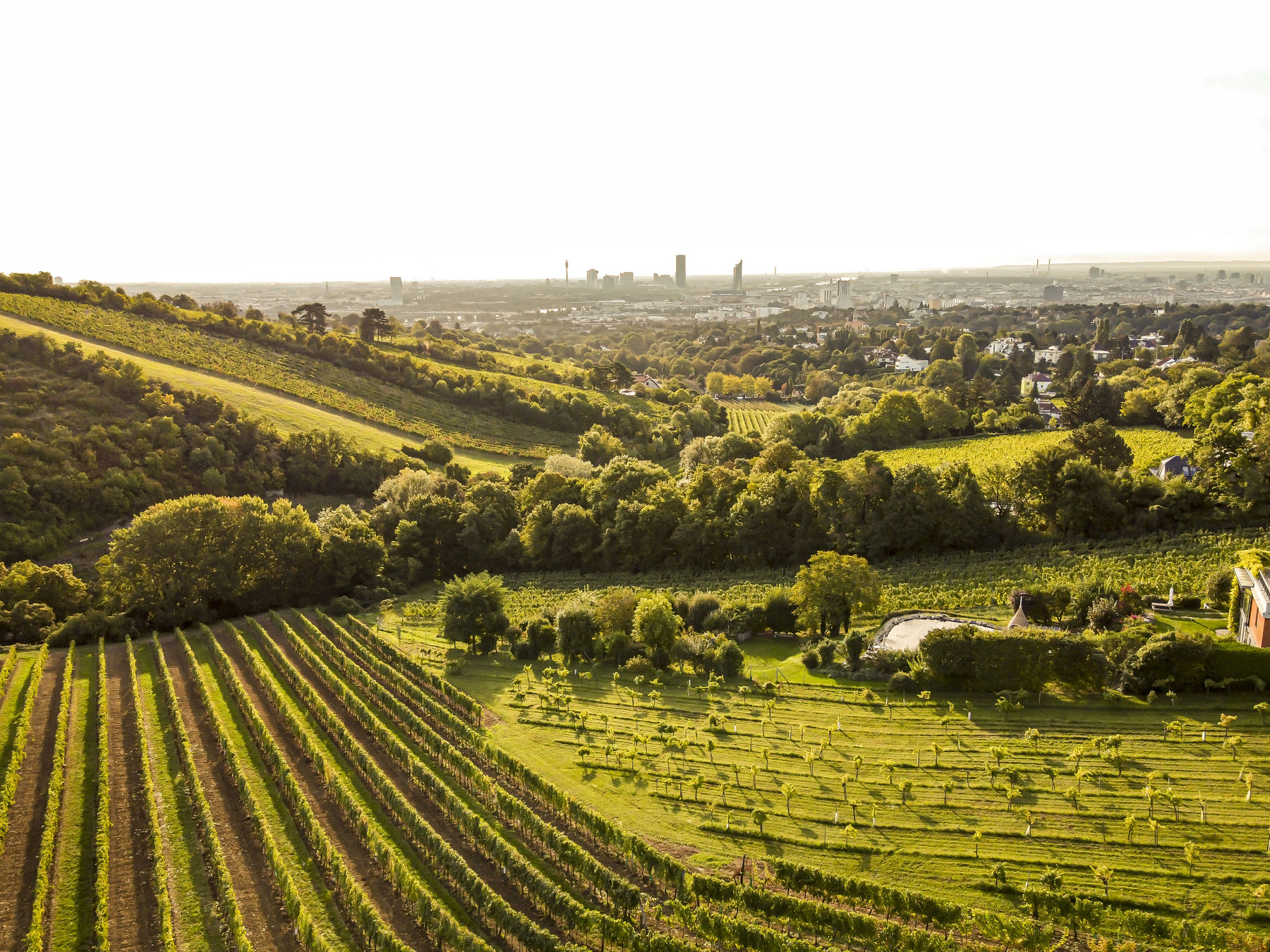 wien-grinzing-hauermandl-herbst-0119.jpg © RWK Wien / www.pov.at