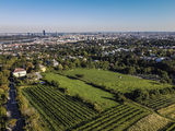 wien-heiligenstadt-goaßkeller-herbst-0971.jpg © RWK Wien / www.pov.at