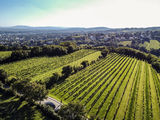 wien-heiligenstadt-haarlocke-herbst-0925.jpg © RWK Wien / www.pov.at