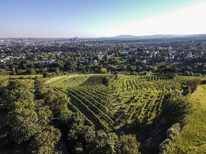 wien-heiligenstadt-unger-herbst-0970.jpg © Archiv