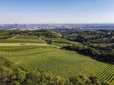 wien--heiligenstadt-mitterberg-herbst-0911.jpg © RWK Wien / www.pov.at