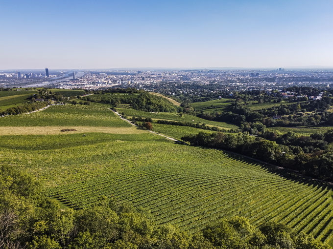 wien--heiligenstadt-mitterberg-herbst-0911.jpg © RWK Wien / www.pov.at