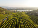 wien-kahlenbergerdorf-jungherrn-herbst-0380.jpg © RWK Wien / www.pov.at