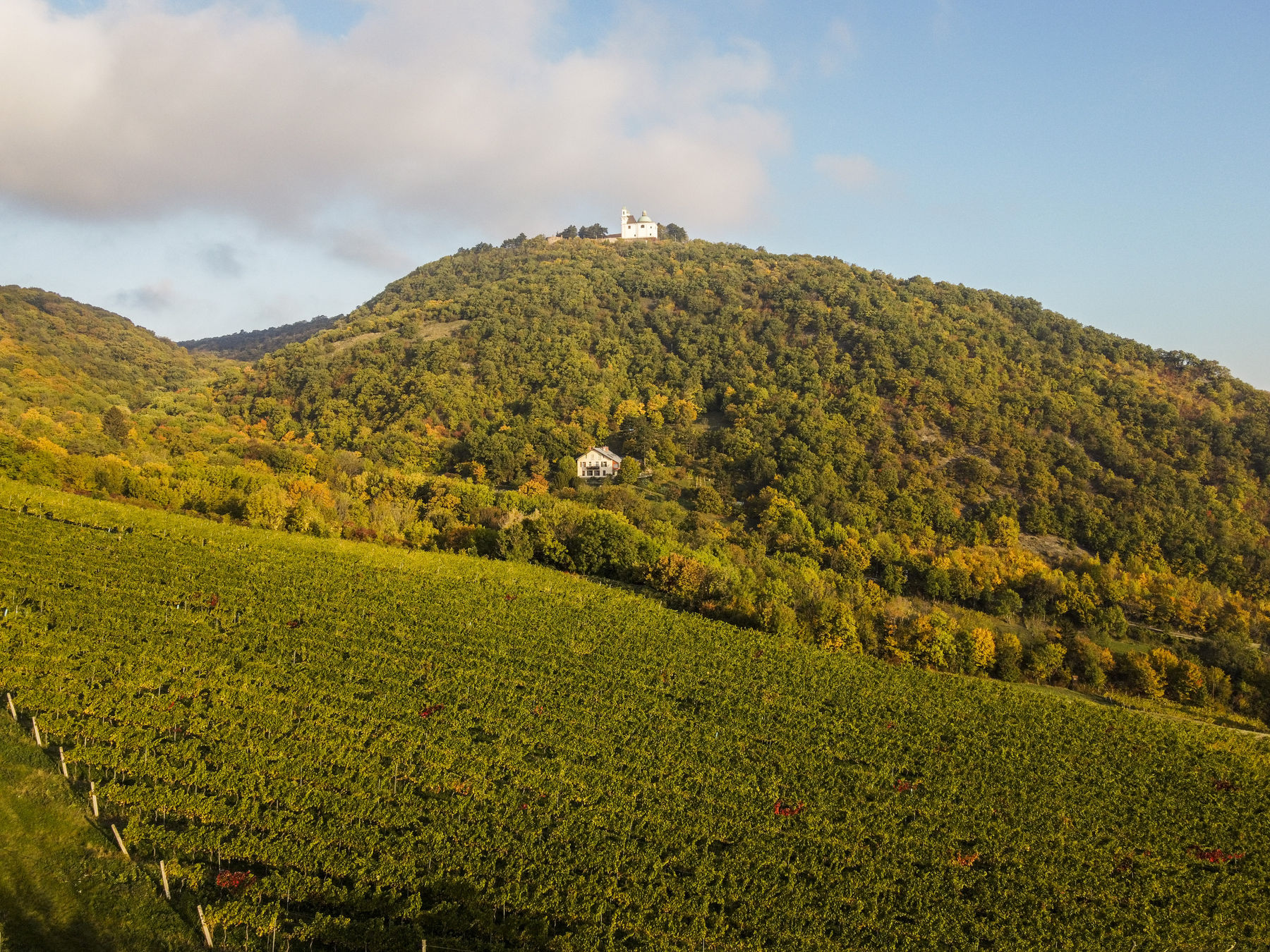 wien-kahlenbergerdorf-raflerjoch-herbst-0382.jpg © RWK Wien / www.pov.at