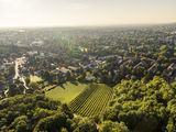 wien-kalksburg-reisberg-herbst-0365.jpg © RWK Wien / www.pov.at