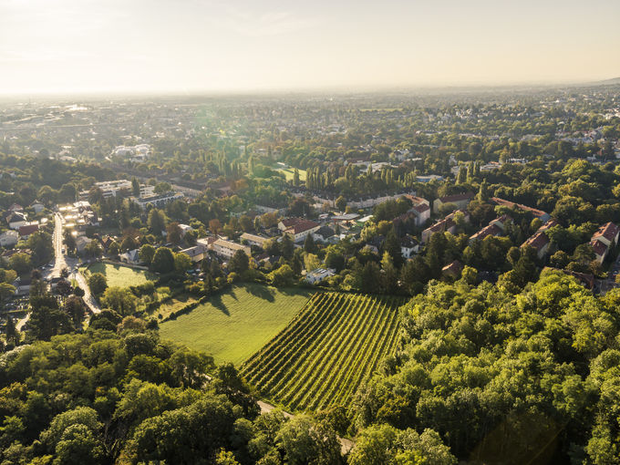 wien-kalksburg-reisberg-herbst-0365.jpg © RWK Wien / www.pov.at